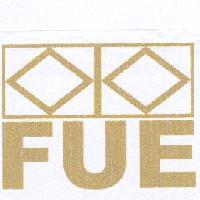 FUE 及圖