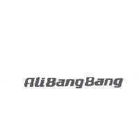 飛魚數位遊戲股份有限公司 AliBangBang