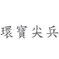 環寶尖兵