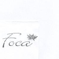 FOCA 及圖