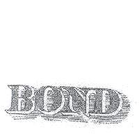 哈蘭酒莊公司 BOND (Stylized)