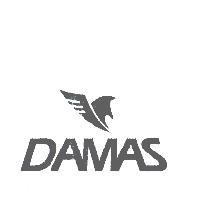 DAMAS 及圖