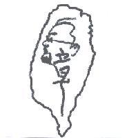 台灣章及圖