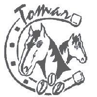 Tomar 及圖