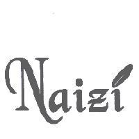 NAIZI 及圖
