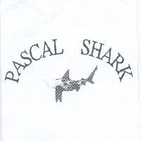 PASCAL SHARK 及圖