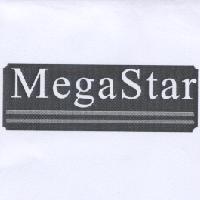 MegaStar 及圖