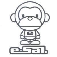 e e-Sal 及圖