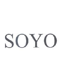 SOYO