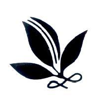 葉子設計圖
