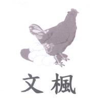 文楓及圖