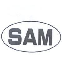 SAM 及圖