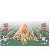 珍金地瓜傳統碳烤及圖