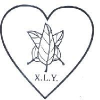 X.L.Y.及圖