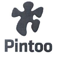 Pintoo & Device