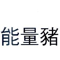 能量豬