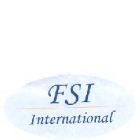 FSI International 及圖