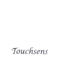 達斯股份有限公司 Touchsens