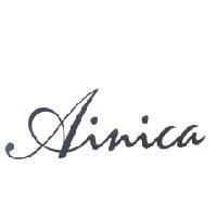 Ainica 設計字
