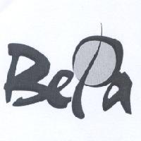 儀大股份有限公司 BePa 設計字