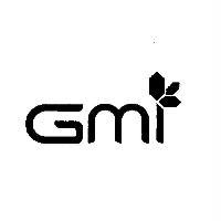 GMI 設計圖