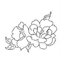 花設計圖
