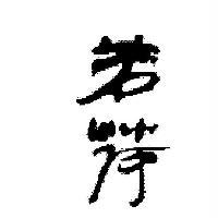 若荷