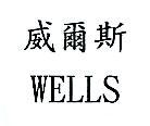 威爾斯 WELLS