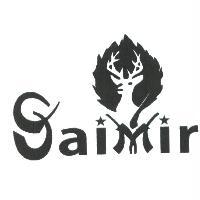 SAIMIR 及圖形