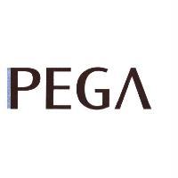 PEGA 設計字