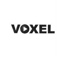 VOXEL 設計及圖