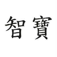 智寶