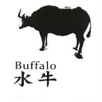 水牛 Buffalo 及圖