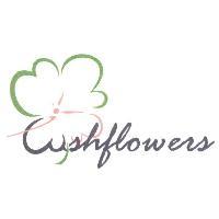 Lushflowers 設計圖