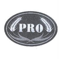 PRO 及圖