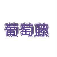 葡萄藤