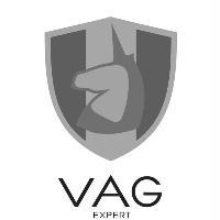 VAG EXPERT 及圖