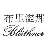 布里滋那 Bluthner 設計圖