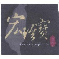 宏珍寶 Antrodia camphorata 台灣國寶及圖