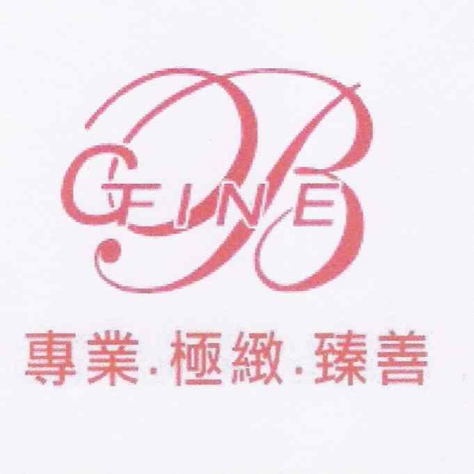 GFINE及圖 專業 極緻 臻善