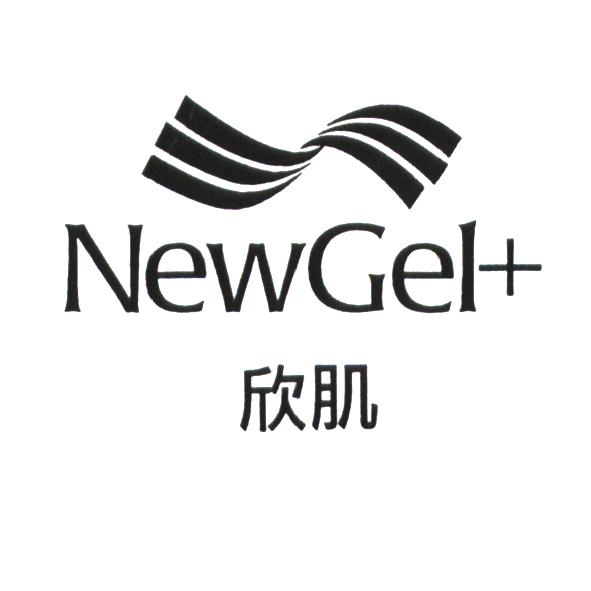 欣肌 NewGel+ 及圖