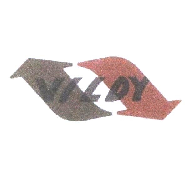 VILDY 及圖