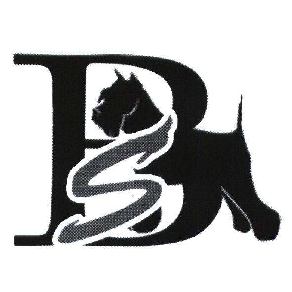BS 設計圖
