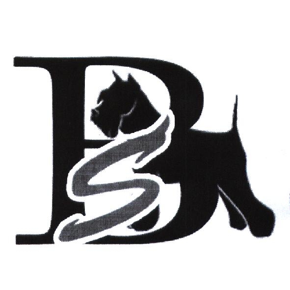 BS 設計圖