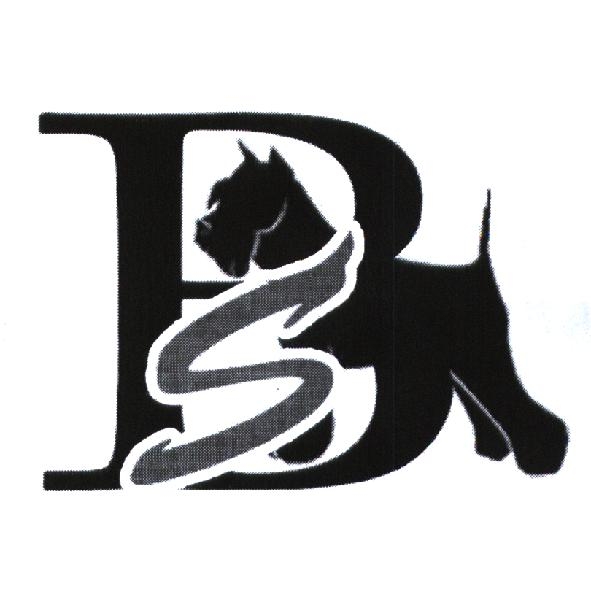 BS 設計圖