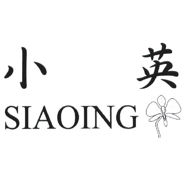 小英 Siaoing 及圖