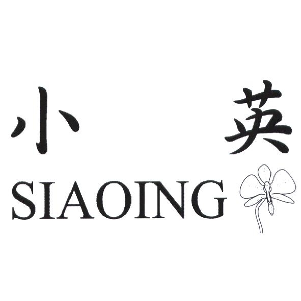 小英 Siaoing 及圖