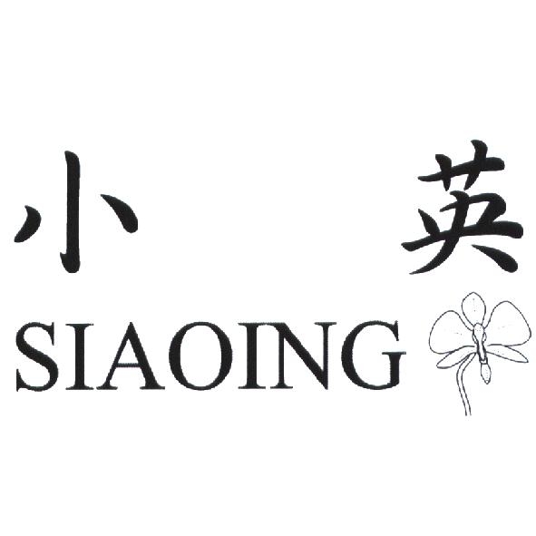 小英 Siaoing 及圖