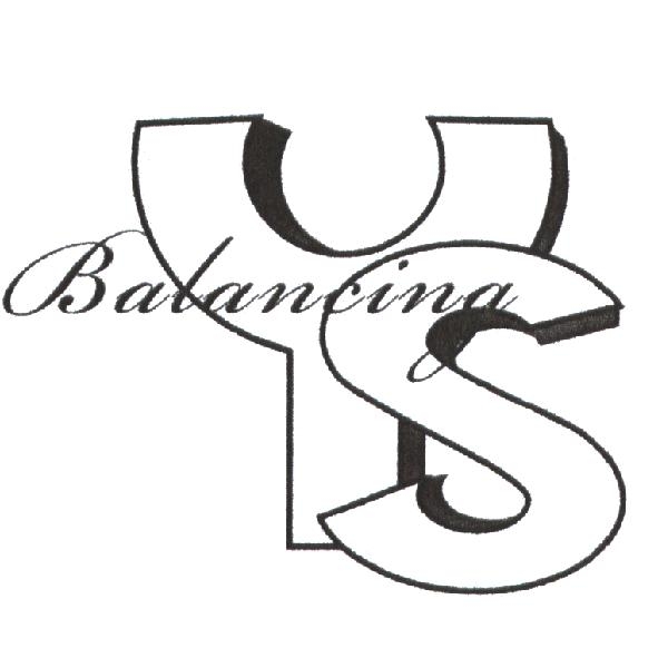 YS Balancing 設計圖