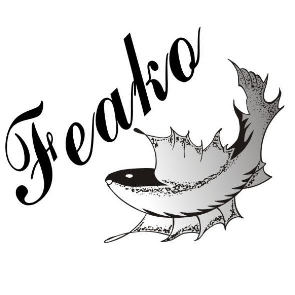 FeaKo及圖